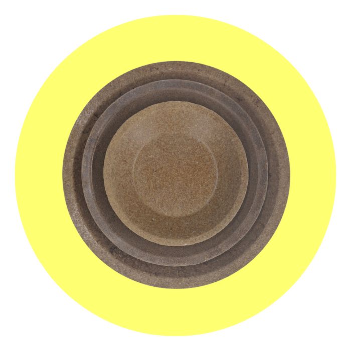 Reiskleieteller Kompostierbare Teller aus Reiskleie